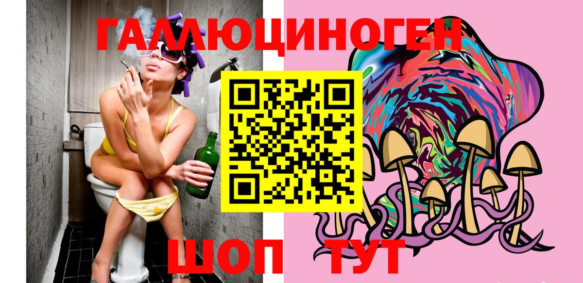 Красный Сулин  Галлюциногенные грибы Psilocybine cubensis  Вход с VPN 